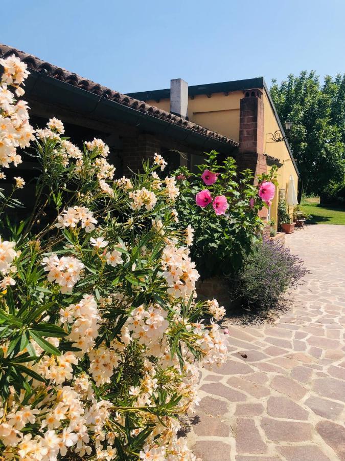 Villa La Casa Nei Campi Badia Pavese Exterior foto